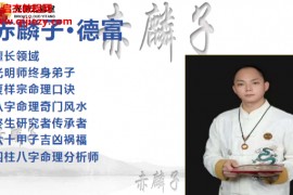 赤麟子德富道家药膳秘籍电子书pdf百度网盘下载学习