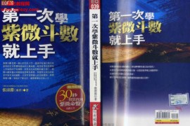 张清渊第一次学紫微斗数就上手第一次学紫微斗数就学会电子书pdf百度网盘下载学习