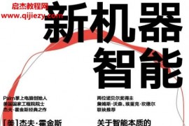 (美)杰夫霍金斯著新机器智能电子书pdfmobiepub格式百度网盘下载学习