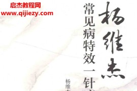 杨维杰著常见病特效一针疗法电子书pdf百度网盘下载学习