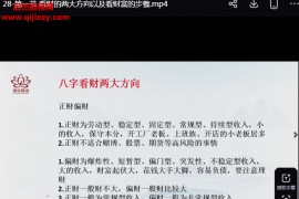 辰南精批财富视频课程28集百度网盘下载学习