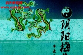 净度易心李液阴阳梅花电子书pdf百度网盘下载学习