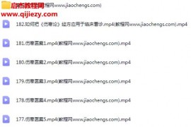 陈雷四维六病详解《伤寒论》完整版视频课程180集百度网盘下载学习
