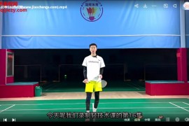 刘辉羽毛球全场轻技术视频课程21集百度网盘下载学习