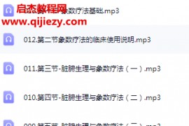 八卦掌针象数疗法音频课程28集百度网盘下载学习