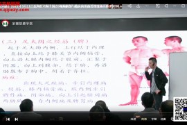 原海旺筋膜解剖与临床应用系列视频课程26集百度网盘下载学习