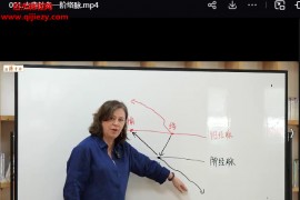 2023-2024年斯理维胡子卿老师主讲古典针灸全阶训练营视频课程+资料百度网盘下载学习