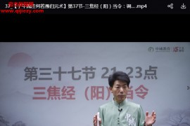 丛磊地子午流注何若愚归元术线上课视频课程40集百度网盘下载学习
