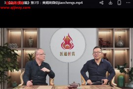 王栋医道传真又名针灸那回事儿视频课程103集百度网盘下载学习