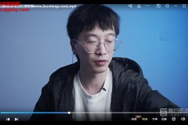 王楠音乐人抖音运营训练营百万粉丝知识博主首授视频课程23集百度网盘下载学习