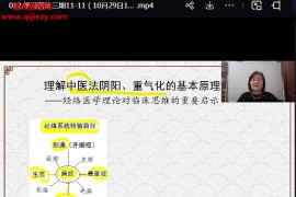 王红民察经摸穴经络医学线上筑基学习营第3期视频课程百度网盘下载学习