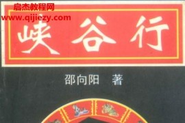 邵向阳著峡谷行电子书pdf346页百度网盘下载学习