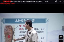 田野木针疗法线上课完整版高清视频课程46集百度网盘下载学习