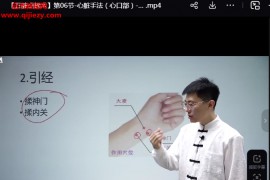 李泽波五脏点揉术视频课程12集百度网盘下载学习