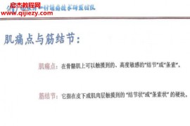 仇永峰一针镇痛技术电子书配套视频课程49集百度网盘下载学习