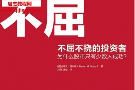 (美)史蒂文西尔斯著不屈不挠的投资者电子书pdfmobiepub格式百度网盘下载学习