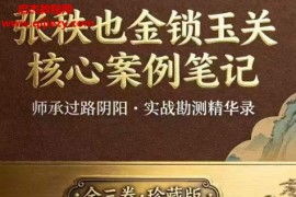 张秩也金锁玉关核心案例笔记珍藏版电子书pdf百度网盘下载学习