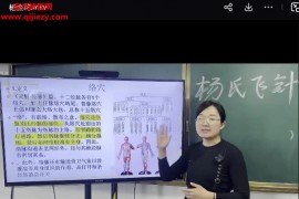 杨金花杨氏飞针视频课程58集百度网盘下载学习