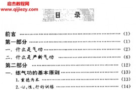 严新著严新气功电子书pdf百度网盘下载学习