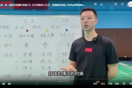 辰南羽毛球脚步方法论可以听懂的羽毛球教学逻辑课辰南的羽毛球视界百度网盘下载学习