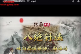 由海涛道家八绝针法199精品网课31讲百度网盘下载学习