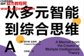 (美)霍华德加德纳著从多元智能到综合思维电子书pdfmobiepub格式百度网盘下载学习