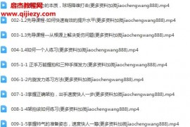 黄教练源式羽球视频教程合集127集科学掌握全场步法正确发力球场快速降维打击百度网盘下载学习