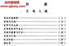 王林著灵魂气功特异功能之谜电子书pdf百度网盘下载学习