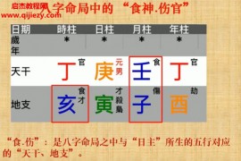 赖冠杨八字命理视频课程33集百度网盘下载学习