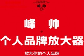 峰帅著个人品牌放大器电子书pdfmobiepub格式百度网盘下载学习