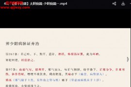 李辛伤寒论研习课线上第一期16讲视频课程百度网盘下载学习