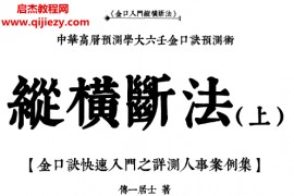 张瑞依金口诀纵横断法上下册电子书pdf百度网盘下载学习