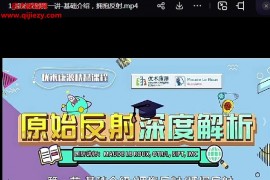 国际课程原始反射整合深度解析视频课程5集百度网盘下载学习