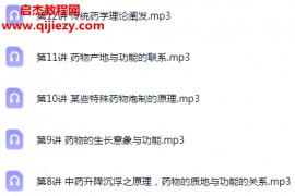 路玉滨药象思维讲中药音频课程12集全百度网盘下载学习