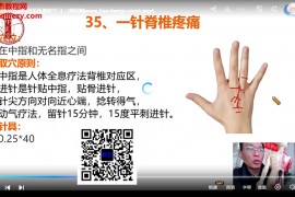 张文雨张氏一针疗法视频课程治疗疑难杂症临床实战全程班网课公益课合集百度网盘下载学习