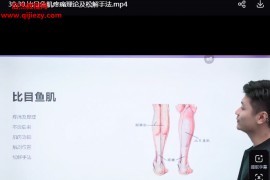 李一鸣一招制胜解决30种肌肉疼痛视频课程31集百度网盘下载学习
