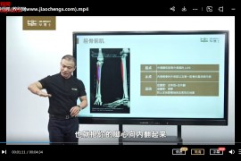 毕义明全身肌肉查询手册肌肉疼痛处理手法视频课程百度网盘下载学习