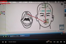 潘保伟针灸临床实战秘籍第4季视频课程13集百度网盘下载学习