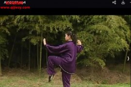杨艳杨式103式太极拳视频课程15集百度网盘下载学习