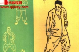 于永年站桩养生法电子书pdf百度网盘下载学习