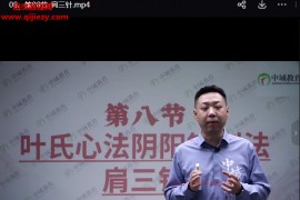 叶浩叶氏心法阴阳针刺法视频课程27集百度网盘下载学习