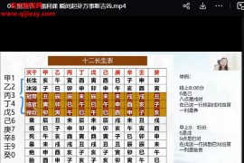 辰南八字财局阵法高阶班视频课程46集百度网盘下载学习