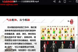 芮喜东六合补心益脑术十四期视频课程9集百度网盘下载学习