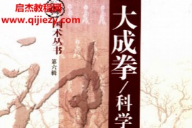 曾广骅著大成拳科学站桩功电子书pdf百度网盘下载学习