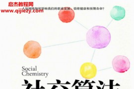 (美)玛丽萨金著社交算法电子书pdfmobiepub格式百度网盘下载学习