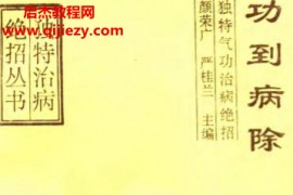 颜荣广严桂兰著功到病除独特气功治病绝招电子书pdf百度网盘下载学习