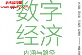 黄奇帆著数字经济内涵与路径电子书pdf百度网盘下载学习