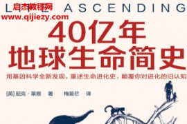 (英)尼克莱恩著40亿年地球生命简史电子书pdfmobiepub格式百度网盘下载学习