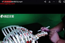 翟天军新书配合神经减张疗法解剖学应用与演示视频26集百度网盘下载学习