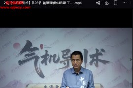 王鹏气机导引术线上课27集视频课程百度网盘下载学习